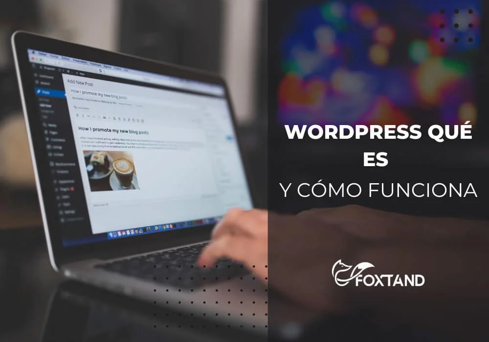 Sitio Web WordPress-que-es-y-como-funciona-2