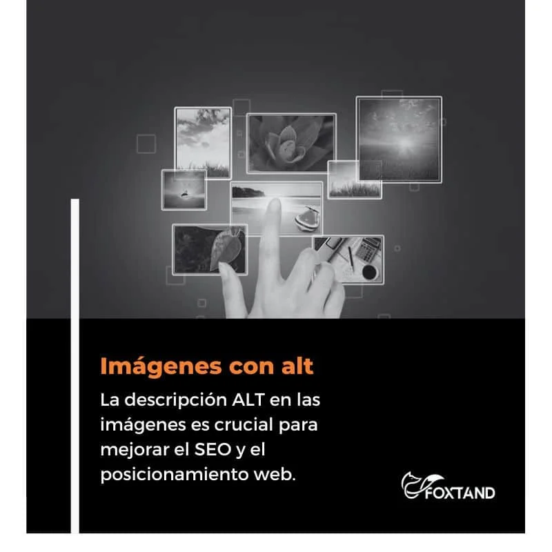 Posicionamiento Web Posicionamiento Web